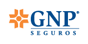 GNP